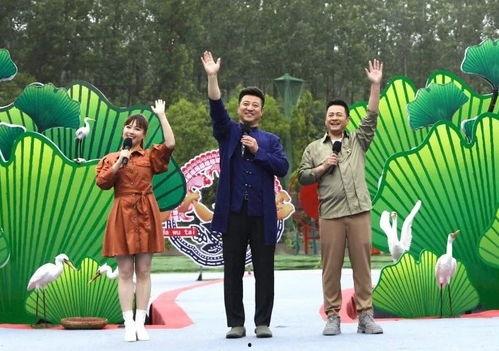 碧桂园最新爆料新闻视频,揭秘项目背后的惊人真相  第2张