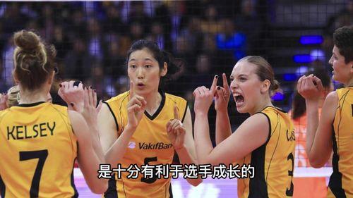 外媒爆料李盈莹视频播放  第1张